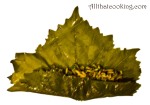 Picture3c