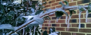 IMG_20160124_082842823